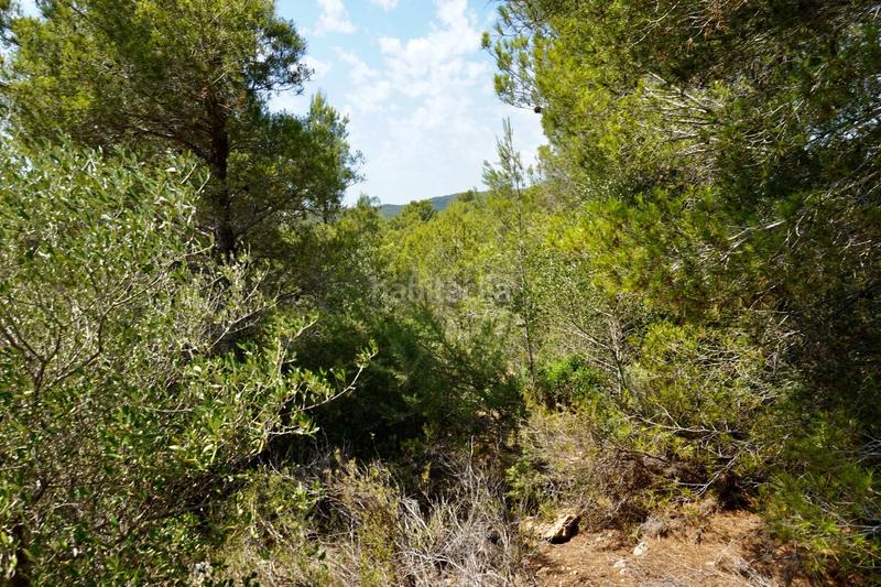 Foto b5500649-3325-48bf-852f-17657beabe62. Fondo rustico in Vandellòs i l´Hospitalet de l´Infant