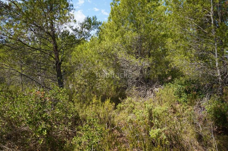 Foto b8c0005b-cf7f-4c2e-b1f0-1d82dedaab71. Fondo rustico in Vandellòs i l´Hospitalet de l´Infant