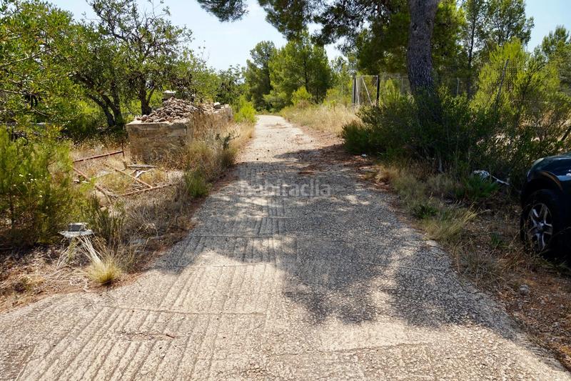 Foto d1954452-c253-4dcc-bf1c-20bc4b824094. Fondo rustico in Vandellòs i l´Hospitalet de l´Infant