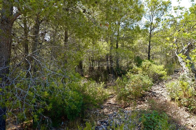 Foto d7792be5-3a62-445f-b1ff-f2e808915aae. Fondo rustico in Vandellòs i l´Hospitalet de l´Infant