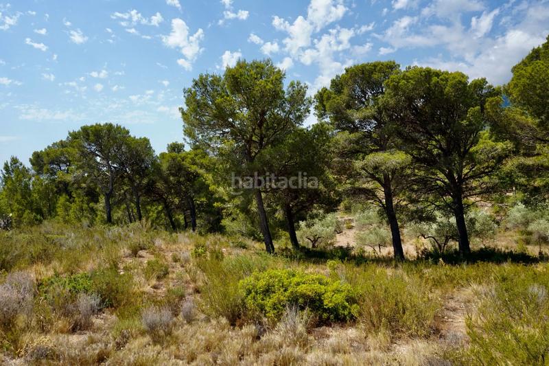 Foto f7d55ba1-022c-42f8-a447-d7cec186c6a9. Fondo rustico in Vandellòs i l´Hospitalet de l´Infant