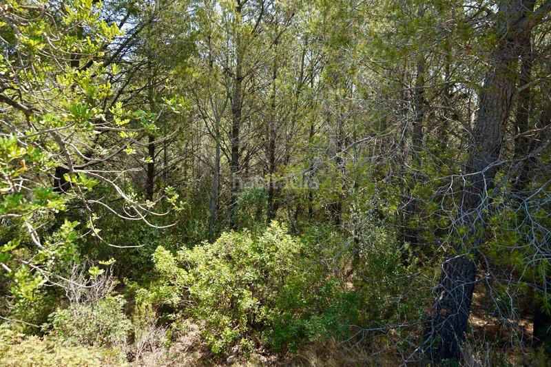 Foto fbf7b893-6b4d-454a-87e2-daaf6e0862a4. Fondo rustico in Vandellòs i l´Hospitalet de l´Infant