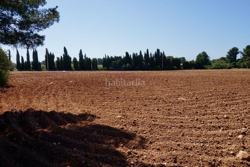 Foto 202f8cbd-0c53-447f-80aa-408ede18ba4d. Propriété dans Poble Mont-roig del Camp