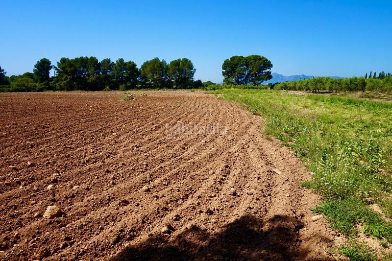 Foto 5f50cf1f-3d0e-4827-a0c9-8c676cd21768. Propriété dans Poble Mont-roig del Camp