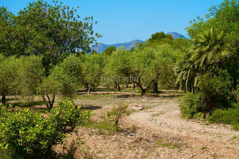 Foto 79801afb-21ad-46a6-9850-0c078054530b. Propriété dans Poble Mont-roig del Camp