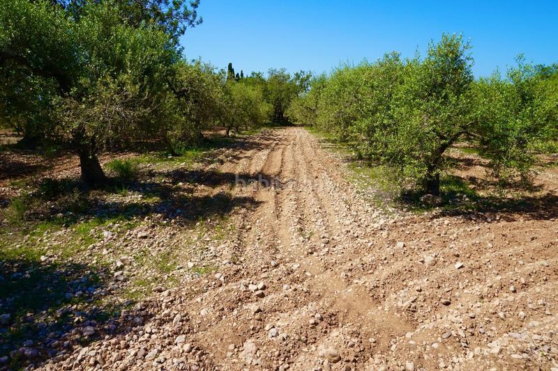 Foto 844ee2df-5d2f-4a28-b773-527915a7ca0e. Propriété dans Poble Mont-roig del Camp