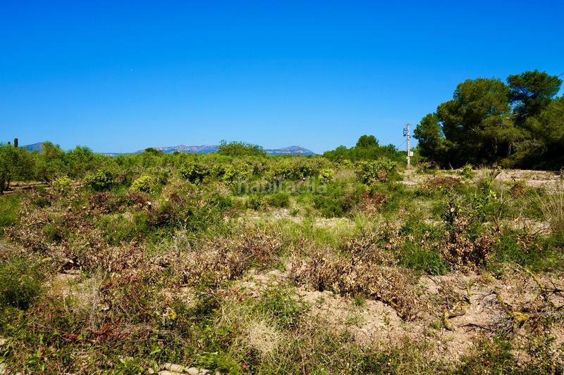 Foto 92d51d49-3cb2-4811-8488-5b6d167a8ac9. Propriété dans Poble Mont-roig del Camp