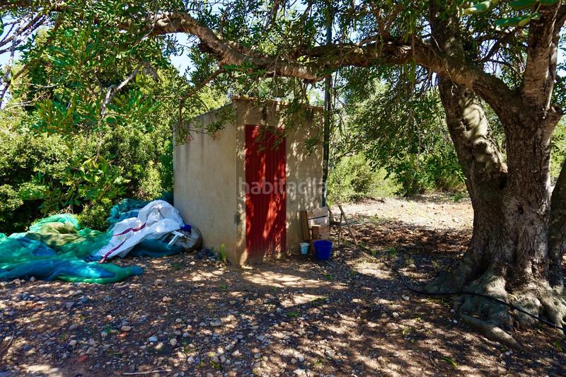 Foto a88daf25-4342-449d-9a8f-ea8472f7d566. Propriété dans Poble Mont-roig del Camp