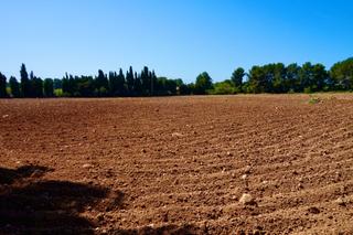 Rural plot  De les planes. Finca rústica de 3,6 ha plana y con buena ubicación
