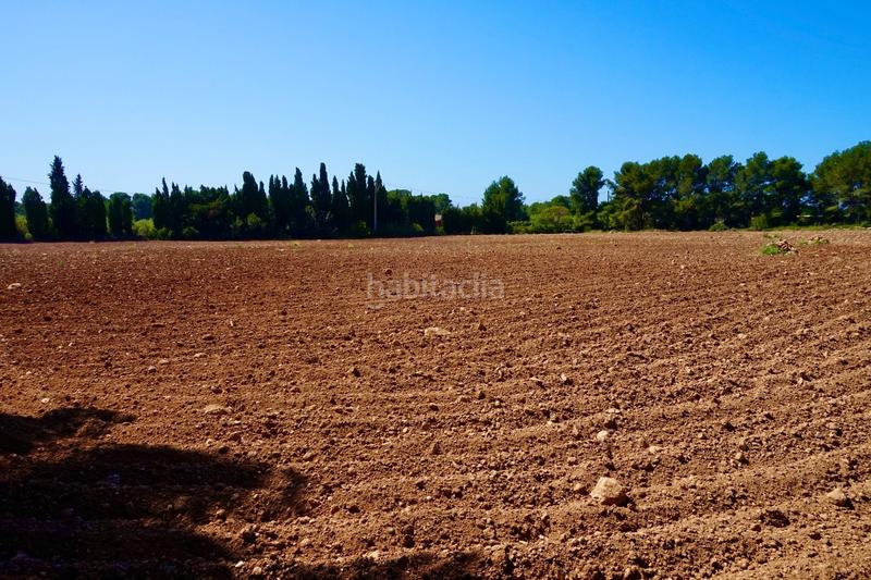 Foto bceffe30-5805-473f-9688-c4926ef86ad4. Propriété dans Poble Mont-roig del Camp