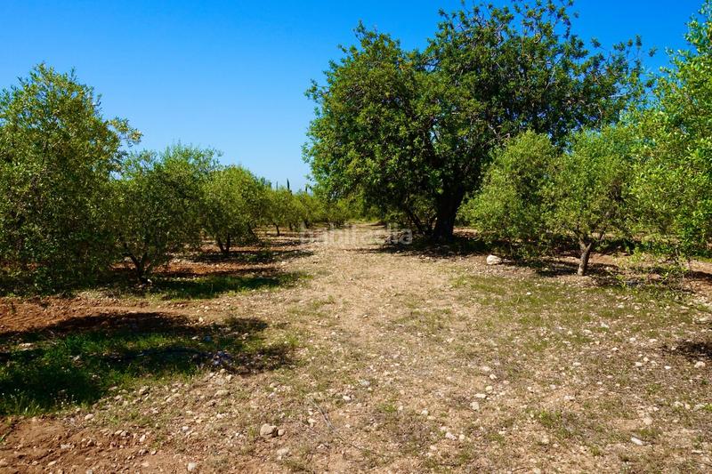 Foto bfe1aad6-ae0d-444f-b0ed-4697b48b689c. Propriété dans Poble Mont-roig del Camp