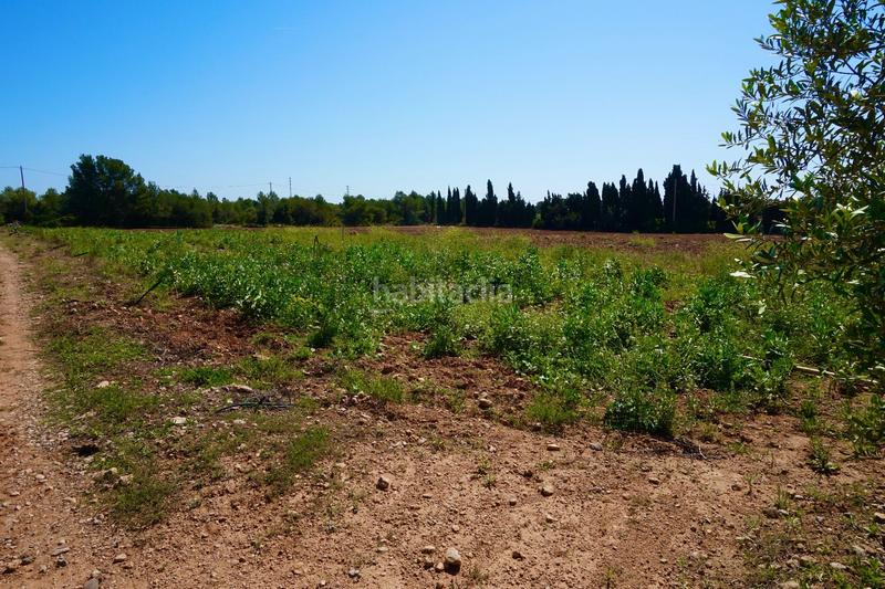 Foto c1cd31fd-cef5-4321-8dd7-5496ce97db9d. Propriété dans Poble Mont-roig del Camp