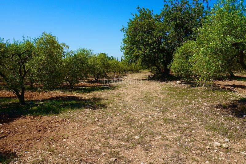 Foto cdf3574d-6582-4670-96cf-cf8ebbf4a8a6. Propriété dans Poble Mont-roig del Camp