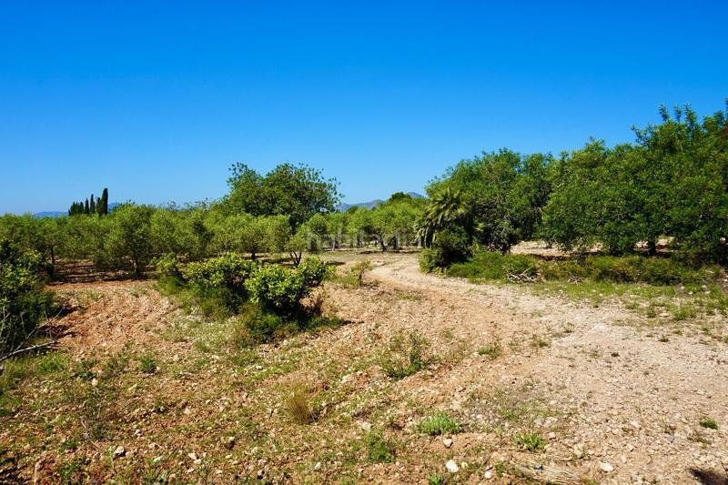 Foto f3366e3e-08fd-4df4-97d8-91c153fb09cb. Propriété dans Poble Mont-roig del Camp