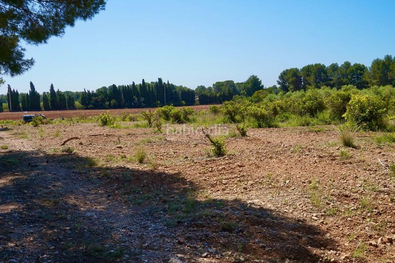 Foto f344713d-c35d-4540-aef8-8c1aa76911c9. Propriété dans Poble Mont-roig del Camp