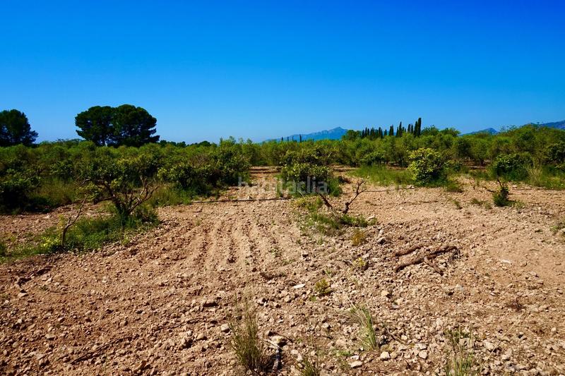 Foto fa610280-4bb5-4249-9b0d-2f0b2a7b9e8f. Propriété dans Poble Mont-roig del Camp