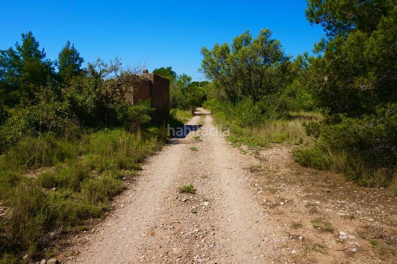 Foto fe3a920d-151a-483c-8f6b-cbcb64517358. Propriété dans Poble Mont-roig del Camp