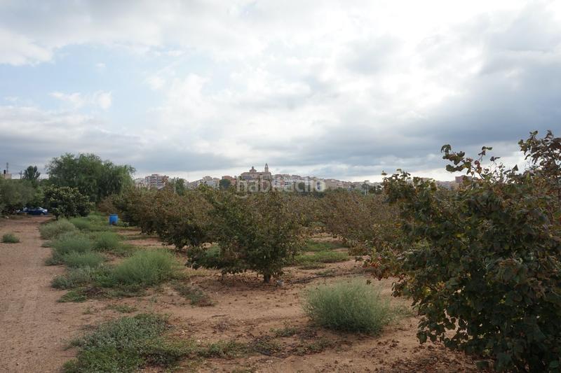 Foto 32f80c63-14fa-4a15-914f-14eb9a5b699d. Finca rústica a Constantí