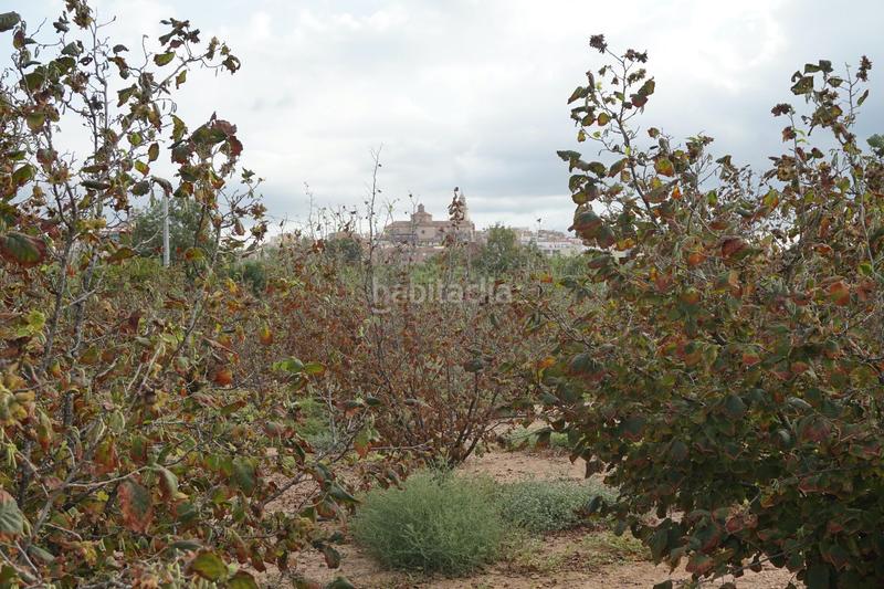 Foto 8c6a7f05-649b-41c6-8fa6-c0a57cd299ea. Finca rústica a Constantí