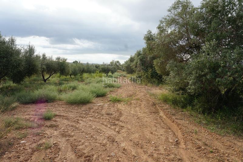 Foto f4139dd0-54cb-4af0-abd1-7418241bb660. Finca rústica a Constantí