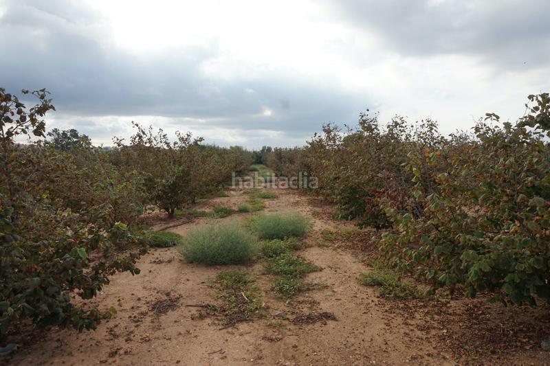 Foto f4869bd3-6027-48da-b002-d06f5b359a84. Finca rústica a Constantí