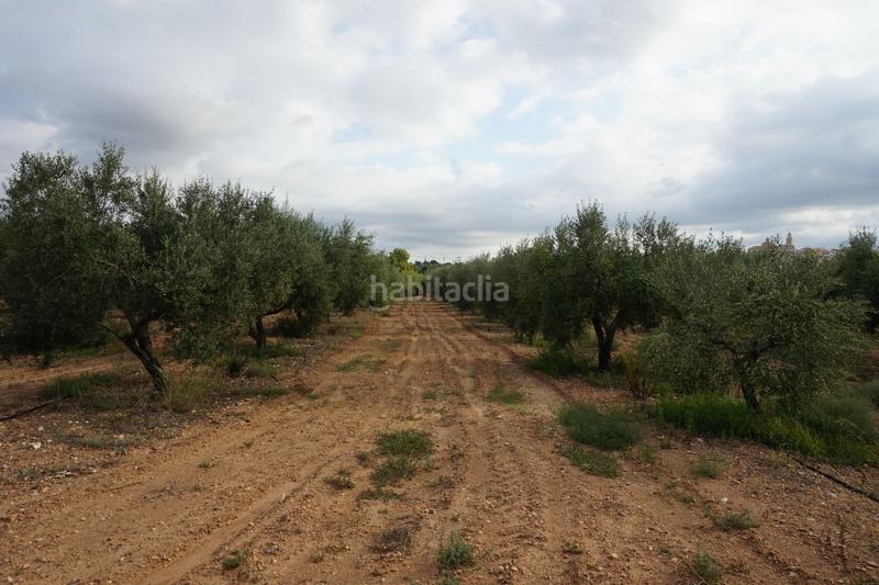 Foto fd935be1-1d80-4ee8-a456-cd38aad8bf54. Finca rústica a Constantí