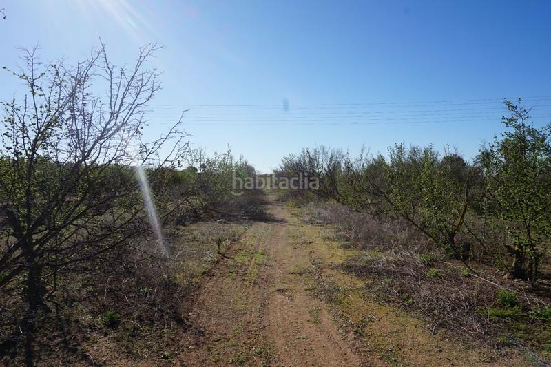 Foto 02c2b7d9-ba43-468b-8348-dade2c88e4cf. Terrain résidentiel dans Riudoms