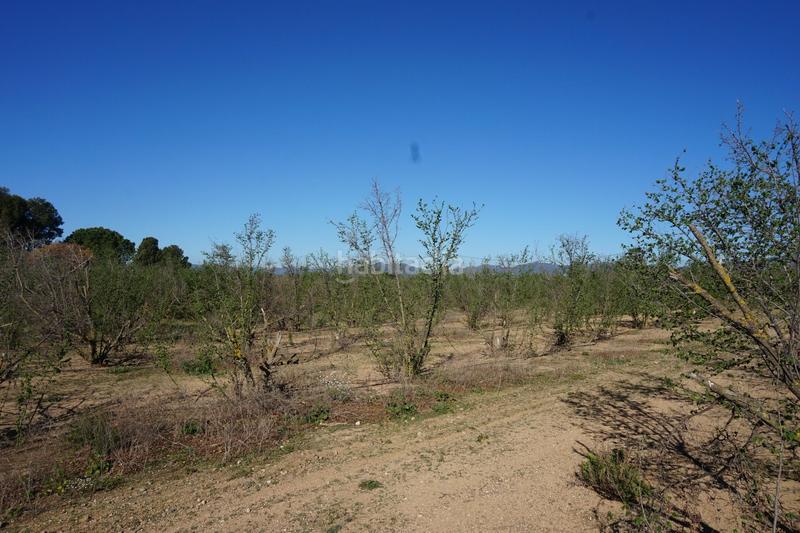 Foto 120afe85-4b2a-43bb-91de-97584715073b. Terrain résidentiel dans Riudoms