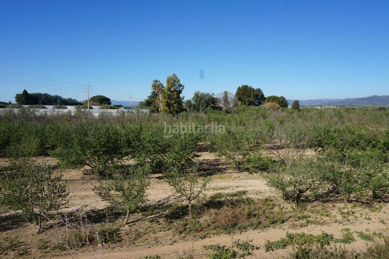 Foto 138a3ae1-1043-4de0-8417-d9f3fdcbe002. Terrain résidentiel dans Riudoms