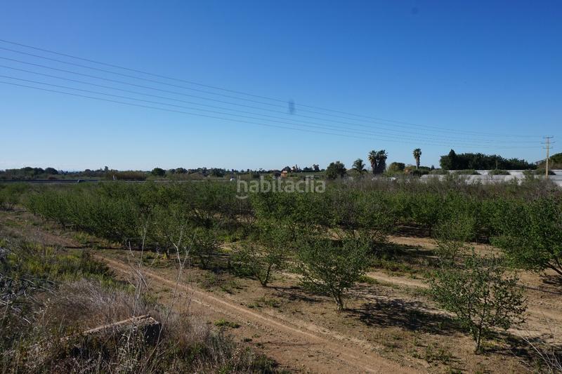 Foto 1c18bf83-0844-4e87-8d5f-dc06951d3247. Terrain résidentiel dans Riudoms