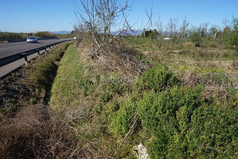 Foto 1df83294-7c5f-4523-a802-0cf4fa43ea0c. Terrain résidentiel dans Riudoms