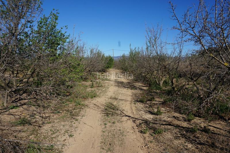 Foto 277ee52b-6922-4b3d-9418-8d04c5b0dcd5. Terrain résidentiel dans Riudoms