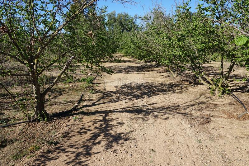 Foto 3d14f12e-140e-419c-bb9f-a618715e298c. Terrain résidentiel dans Riudoms