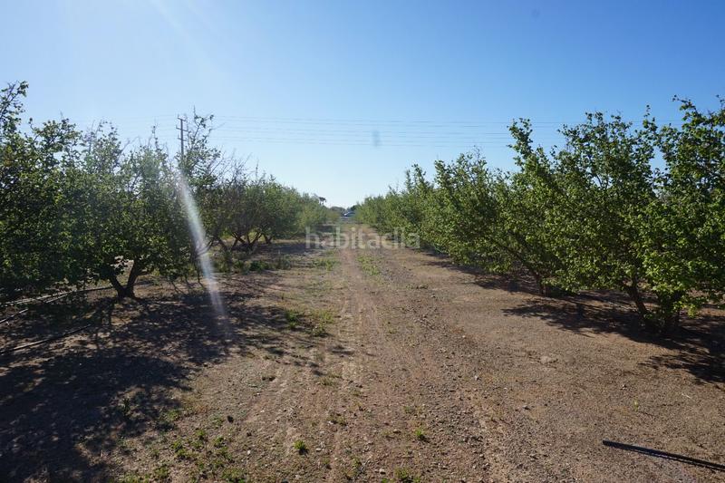 Foto 431fcfe9-eb76-43e4-aa54-4c4490d8b67f. Terrain résidentiel dans Riudoms