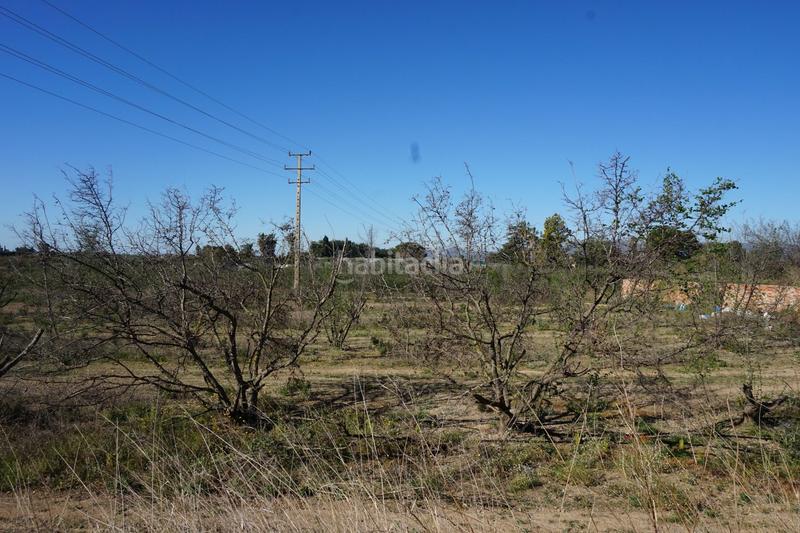 Foto 44c50c7f-b753-4c56-b2dc-f6ed3bd431c4. Terrain résidentiel dans Riudoms