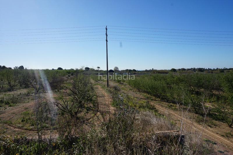 Foto 4a8be9ed-f243-4f87-aef3-682f150fb94e. Terrain résidentiel dans Riudoms