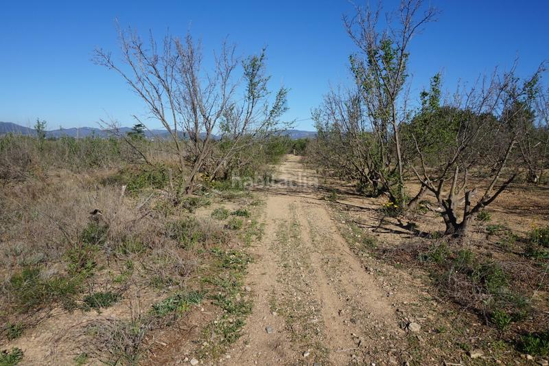 Foto 4da8d81d-1e56-43f3-8f0a-e05f59c083a2. Terrain résidentiel dans Riudoms