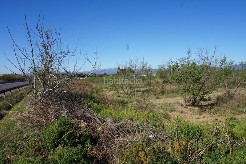 Foto 50908296-0ac2-43f2-b23d-e61ffef03eed. Terrain résidentiel dans Riudoms