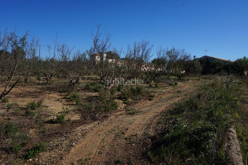 Foto 62adcded-8870-4fb8-8097-e7a9bca7a99a. Terrain résidentiel dans Riudoms