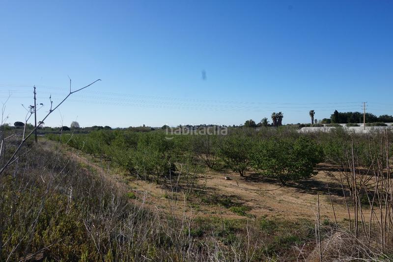 Foto 70afcb22-df13-4fc4-a79f-b2e0ea3cbf54. Terrain résidentiel dans Riudoms