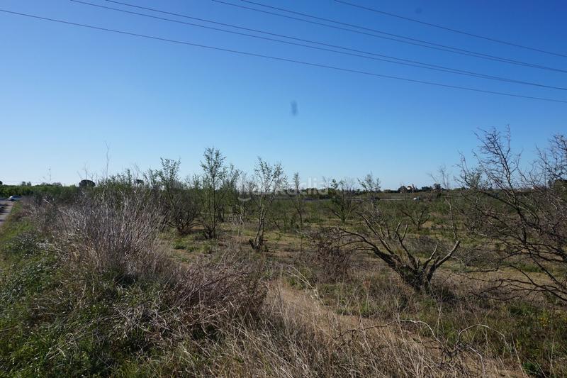 Foto 7ac738a9-c47d-47f4-88ba-85a4be1e078b. Terrain résidentiel dans Riudoms