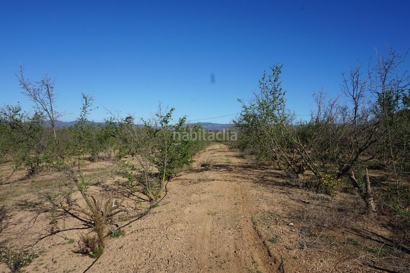 Foto 9c5ccf1a-df71-4759-bd7f-ff27a6ea0991. Terrain résidentiel dans Riudoms