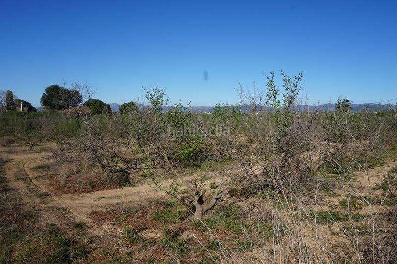 Foto a3aa0050-6796-4e14-aa6f-82d465666c53. Terrain résidentiel dans Riudoms