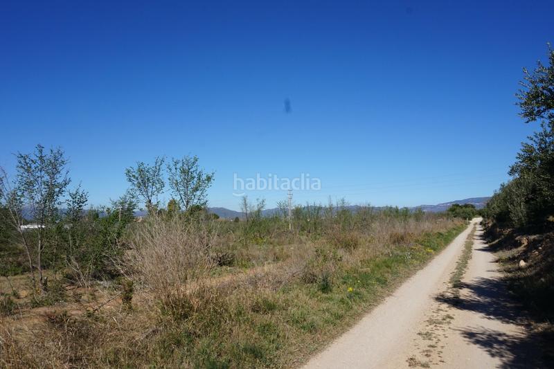 Foto d04a6dcc-59eb-4788-a860-7a4bea2f4737. Terrain résidentiel dans Riudoms