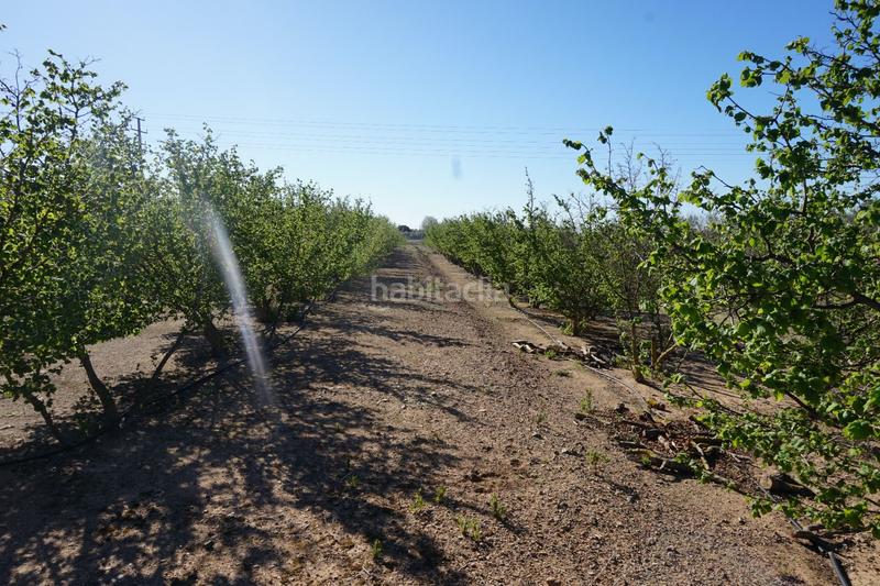 Foto dfbf71c3-d40c-4c37-a5e3-67f50b5fe81d. Terrain résidentiel dans Riudoms