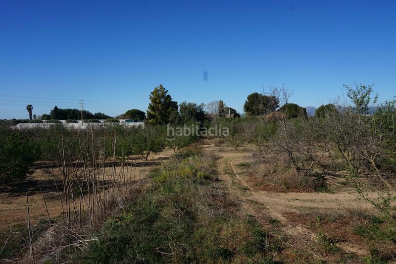 Foto e4c3c04b-4fa5-40db-b670-3145e866fdd7. Terrain résidentiel dans Riudoms