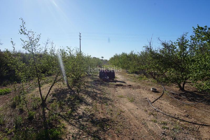 Foto eea1fa78-51cc-40ef-9573-79d3ec07a4d1. Terrain résidentiel dans Riudoms