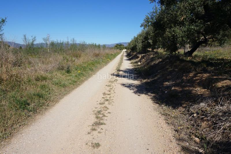 Foto f83eacf4-33e8-4115-bde3-a102ae897966. Terrain résidentiel dans Riudoms