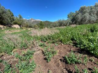Finca rstica  N/a. Venta de 3 terrenos con una suma total de 32 hectreas