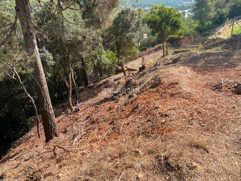 Foto cb4d81c1-a966-474b-bda0-664499e65e2f. Terreno residenziale in Palafolls